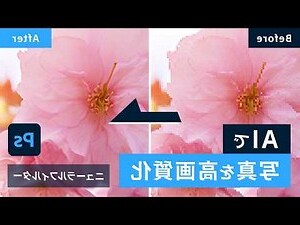 照片 畫